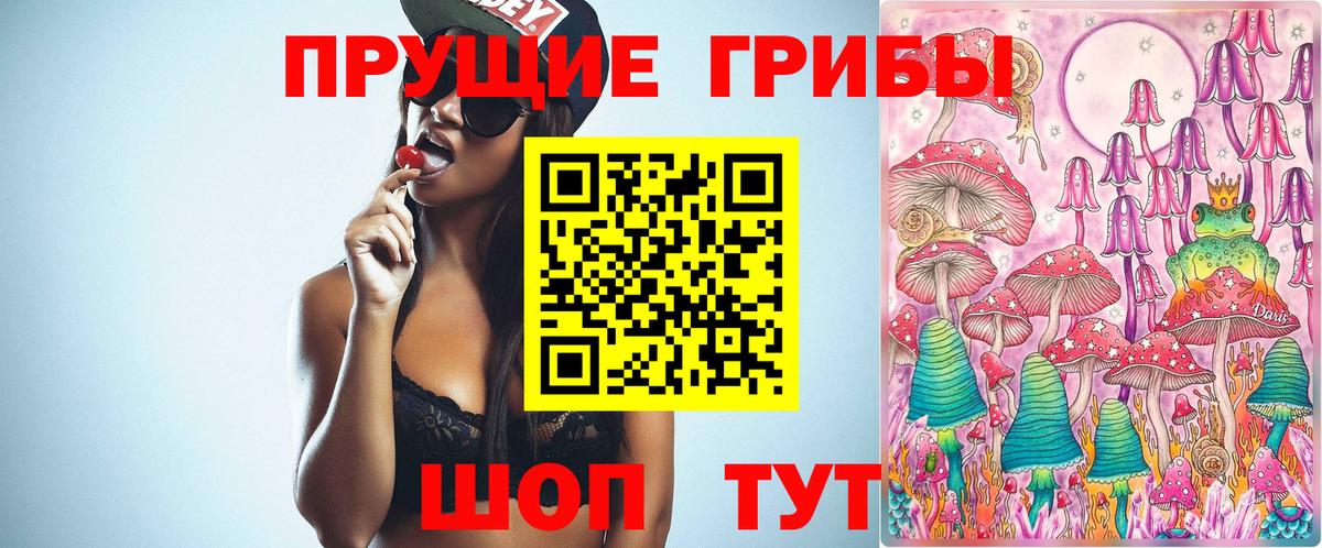 Псилоцибиновые грибы прущие грибы  Вход с VPN  Гусиноозёрск 
