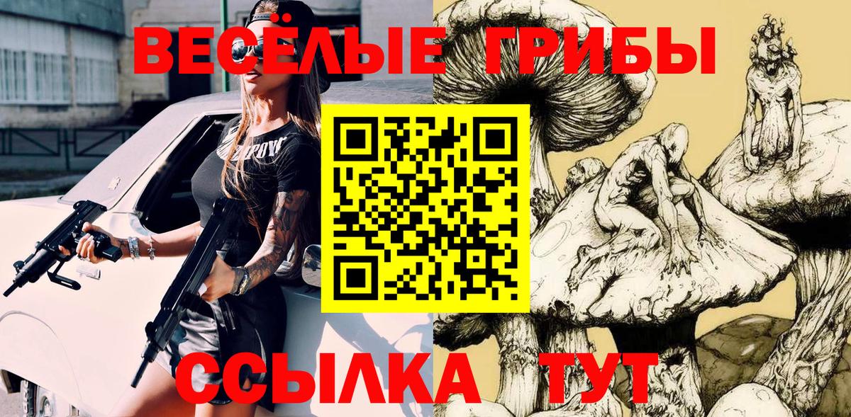 Псилоцибиновые грибы Cubensis Гусиноозёрск